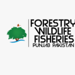 forestry wildlife & fisheries department