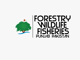 forestry wildlife & fisheries department